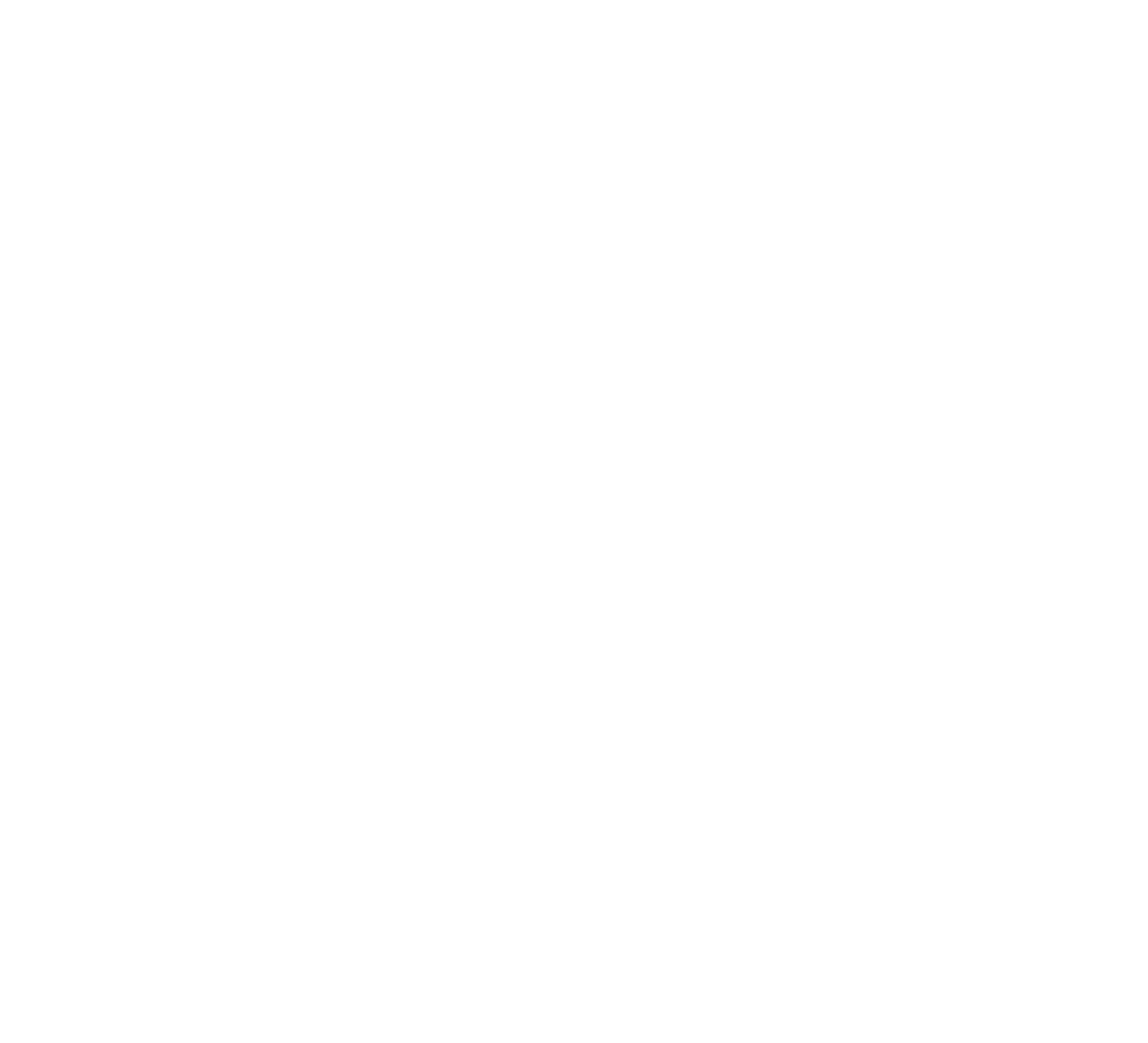 I Didn't Say You Were Stupid, I Said You Are Stupid