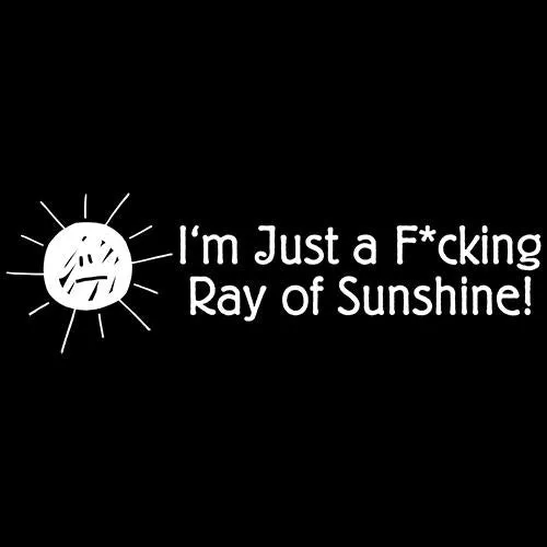 I'm Just A Fcking Ray Of Sunshine!