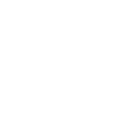 Leg Day